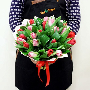 Тюльпаны "Клубника со сливками"