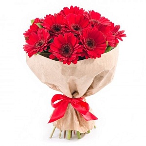 Фото 11 красных гербер