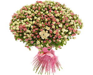 Большой букет из 101 розовой и бежевой кустовой розы