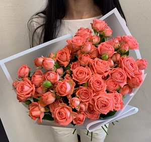 Кустовые розы "Робкое признание"