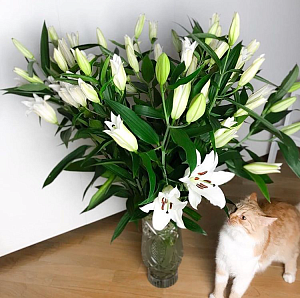 Букет "Снежная сказка"