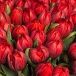 Классический букет из 61 красного пионовидного тюльпана