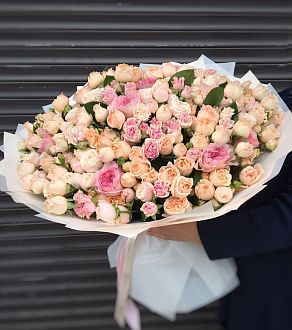 Розы "Монмартр"