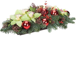 Композиция "Зима в тропиках"