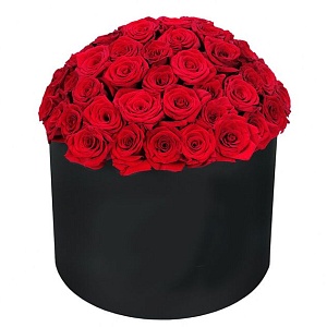 Фото Коробка с 51 розой