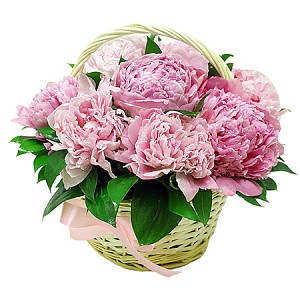 Фото Корзинка с пионами "Розовая нежность"