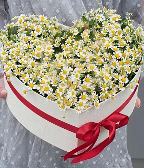 Фото Композиция "Сердце для тебя..."