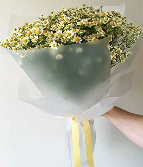 Букет из ромашек "Ева"