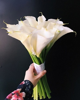 Каллы "Леди Ева"