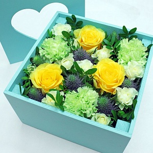 Фото Цветы в кашпо "Звезда Солнце"