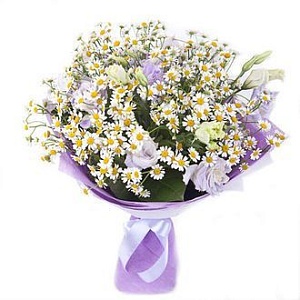 Фото Ромашки "Летний день"