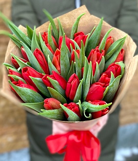 Букет из 25 тюльпанов "Небесный рубин"
