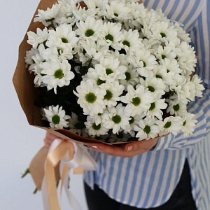 Букет кустовых хризантем "Северная Пальмира"