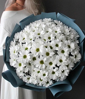 Букет из 27 ромашковых хризантем
